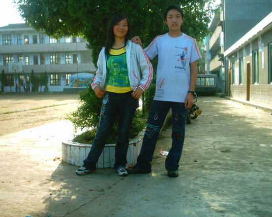 2006  (49)